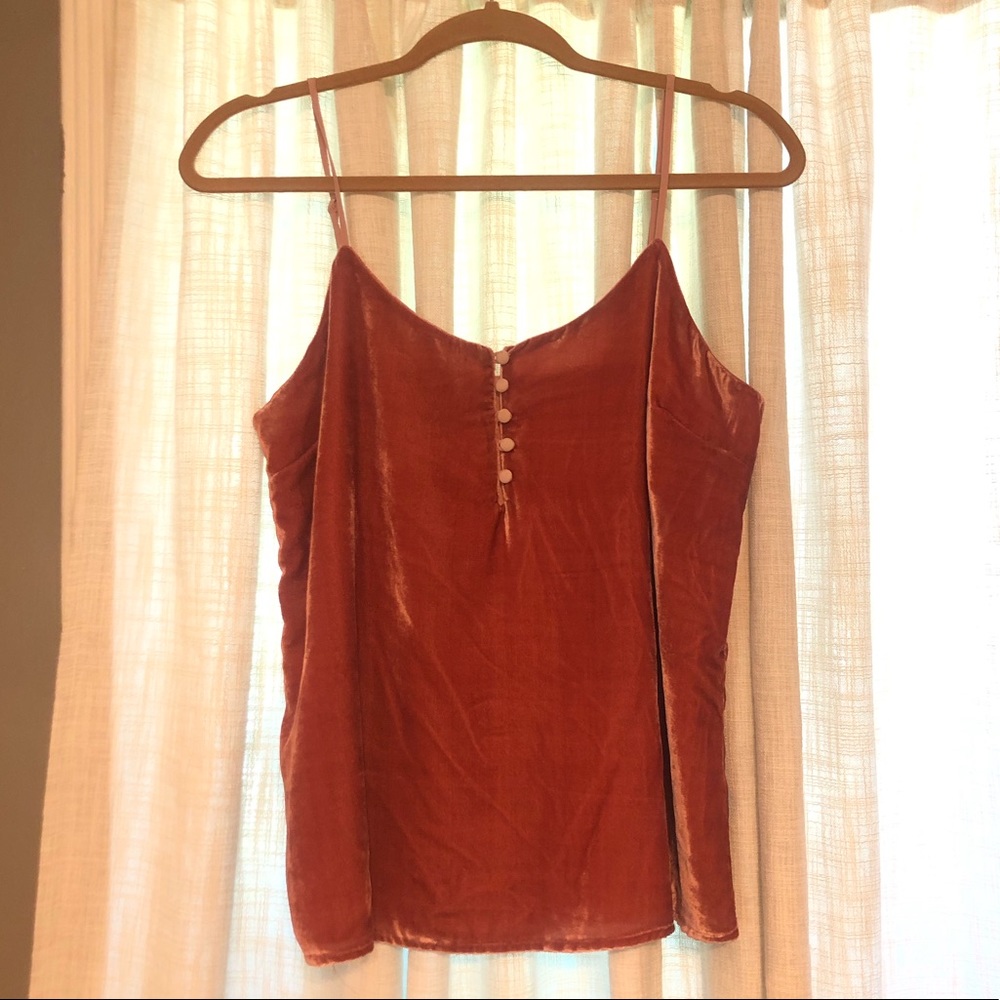 Velvet blouse